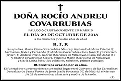 Rocío Andreu Covarrubias